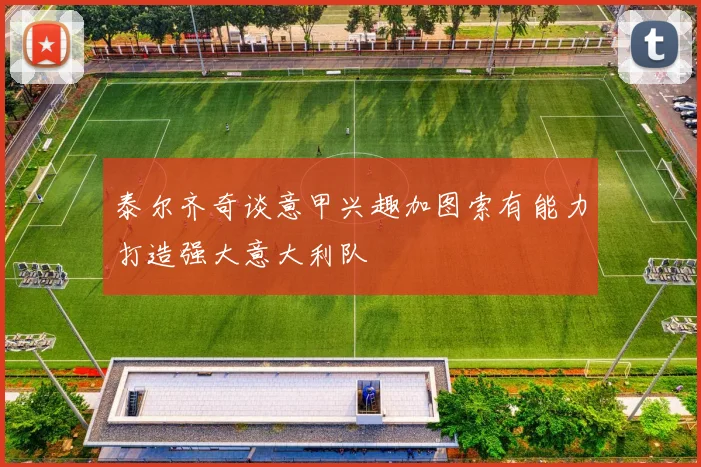泰尔齐奇谈意甲兴趣加图索有能力打造强大意大利队