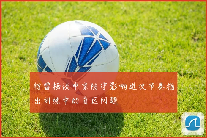 特雷杨谈申京防守影响进攻节奏指出训练中的盲区问题