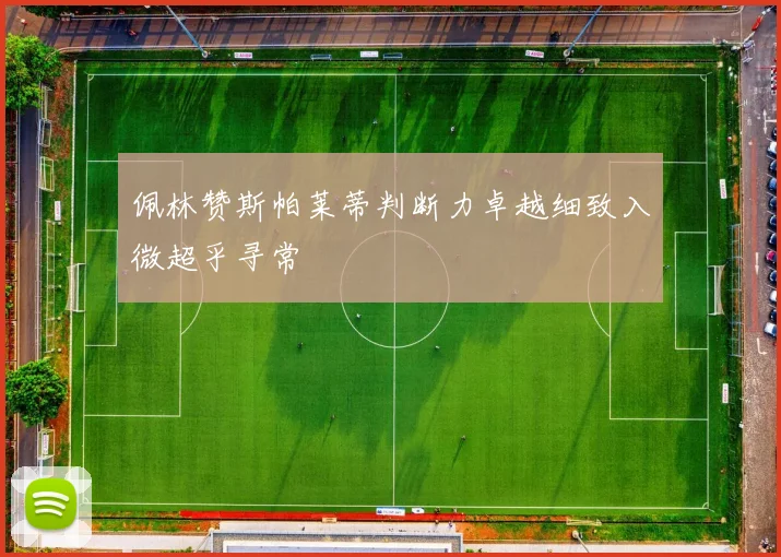 佩林赞斯帕莱蒂判断力卓越细致入微超乎寻常